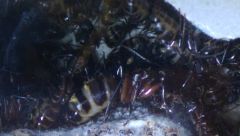 WP 20191025 022 WP 20191025 022