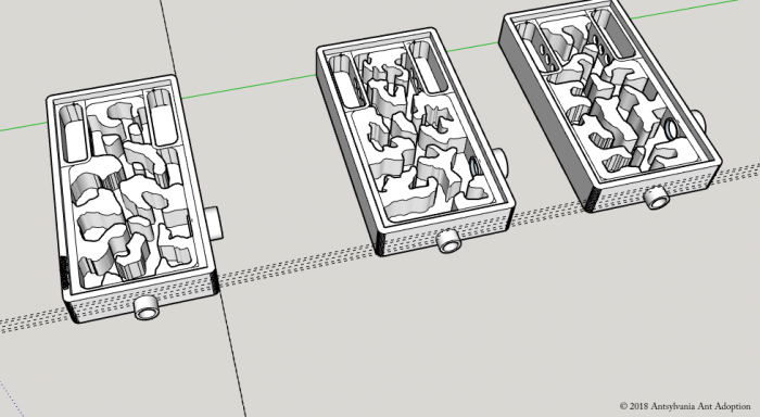 formicariaII(variation)