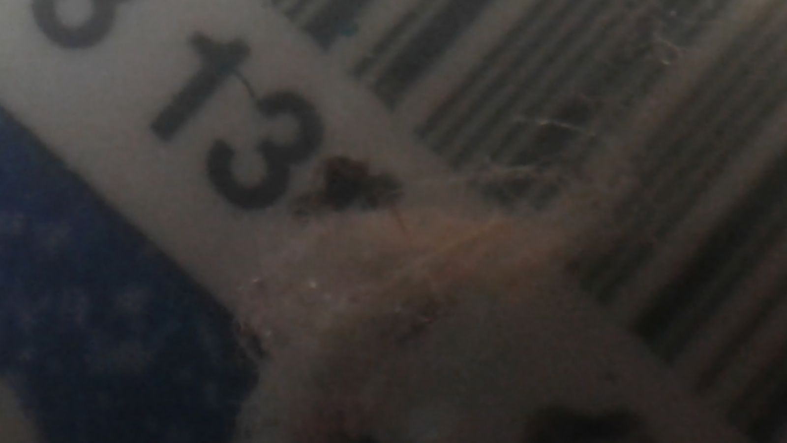 First documented casualty