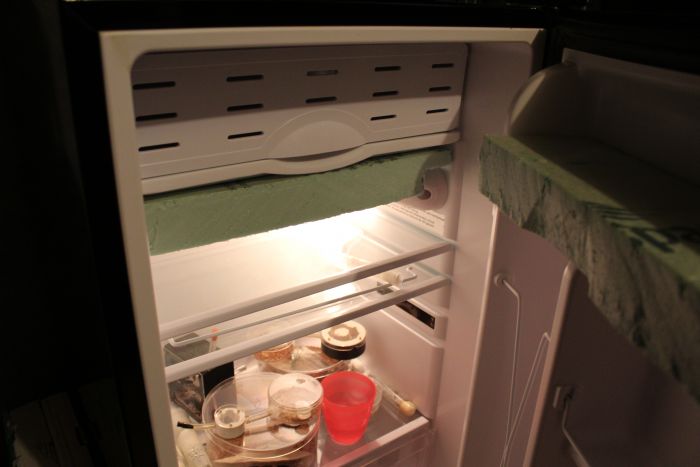 Fridge hibernation (3)