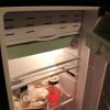 Fridge hibernation (3)