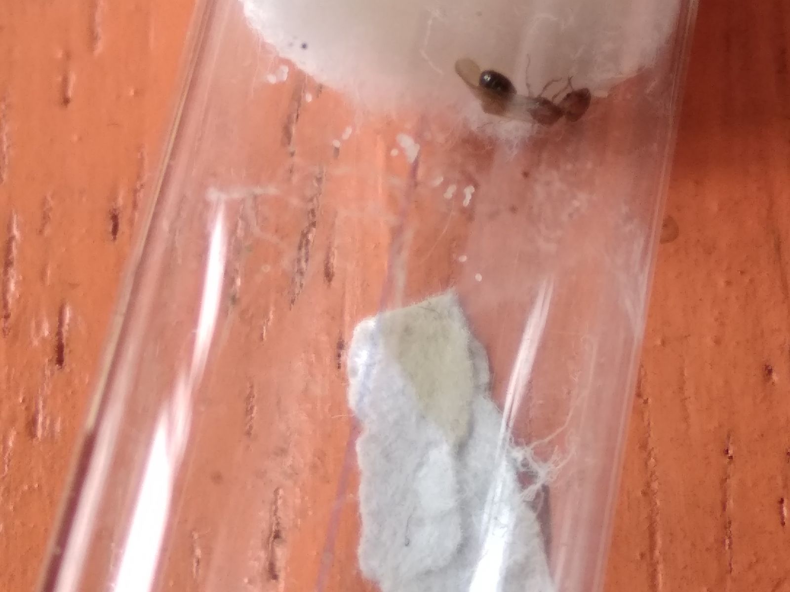 IMG 20180304 115141 IMG 20180304 115141