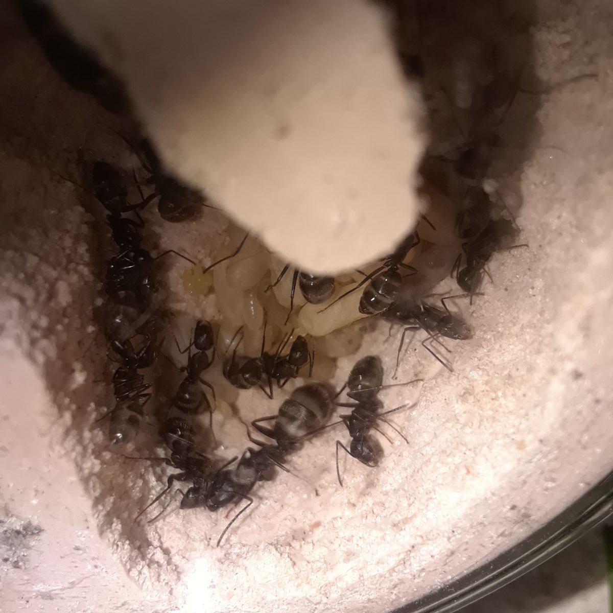20180330 160548 20180330 160548