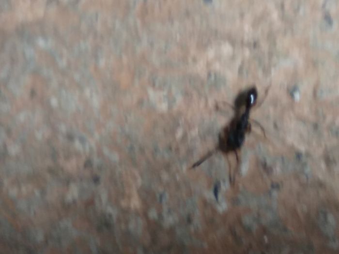 IMG 20180310 111150