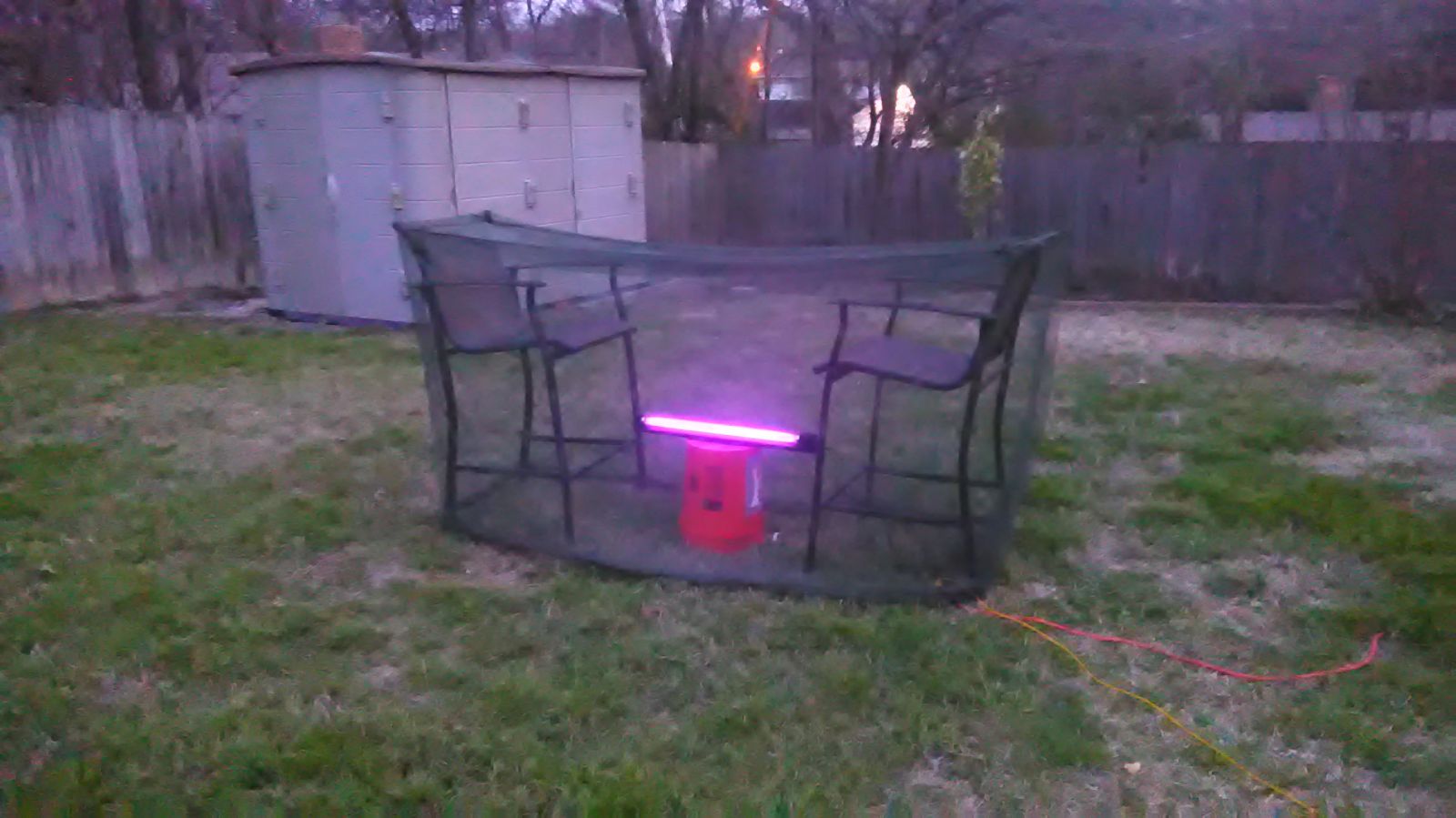 blacklight setup with mosquito netting.