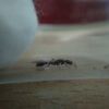 IMG 20180319 204804