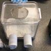 formicarium 3