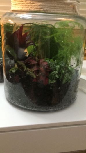 Big Jar Side View