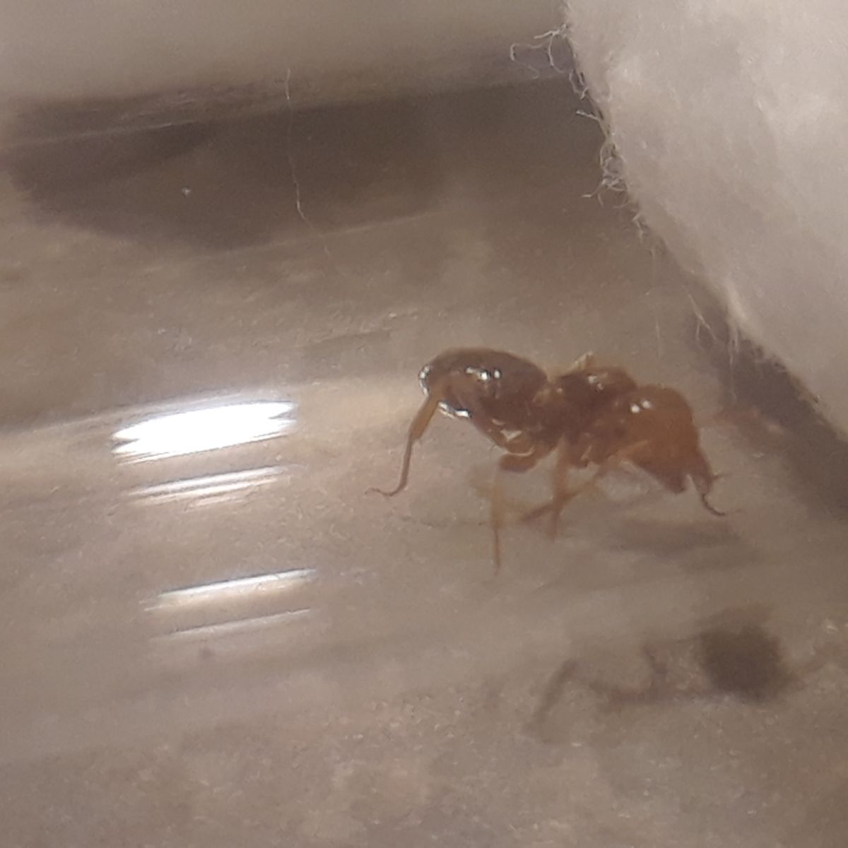 20180628 223747 20180628 223747