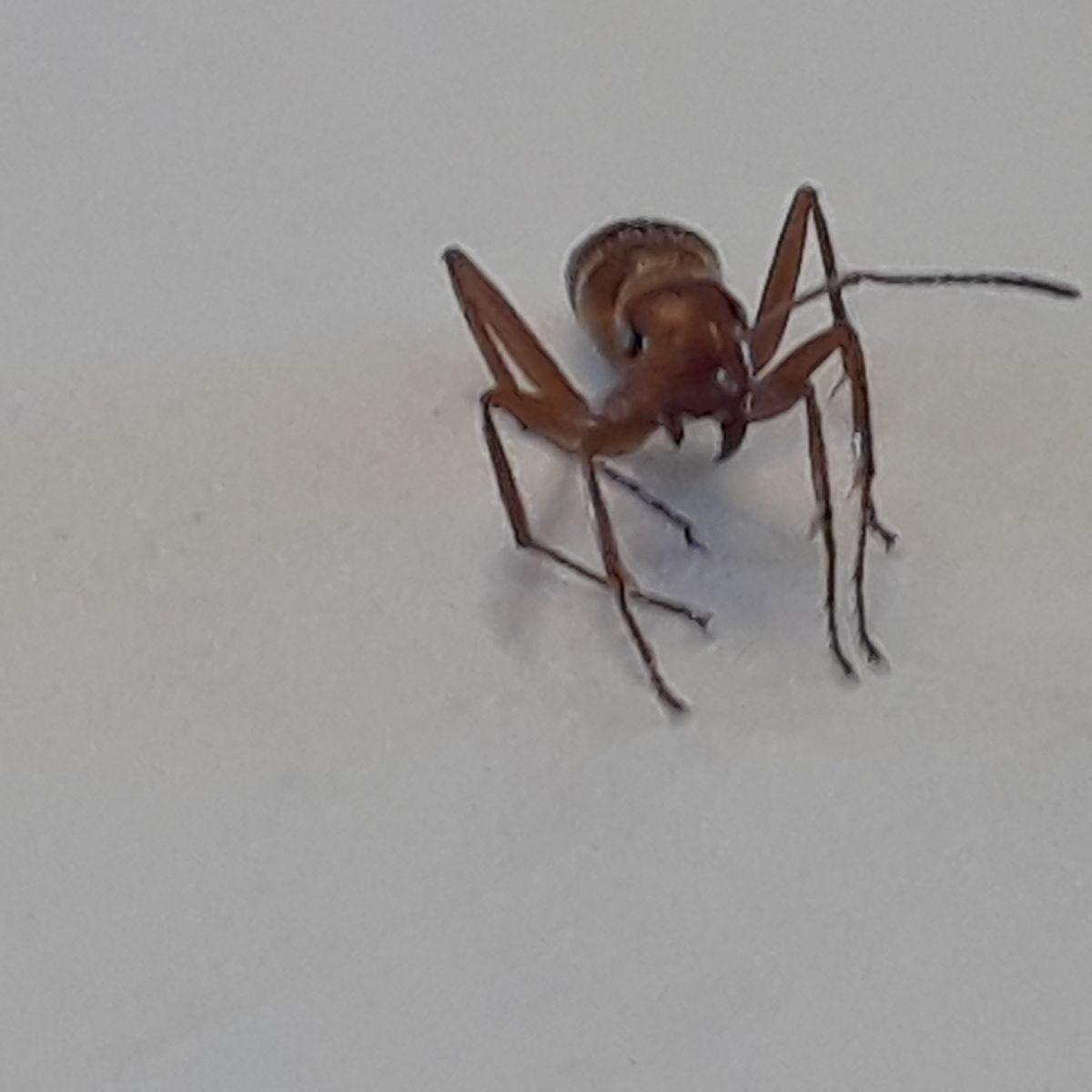 20180516 171654 20180516 171654