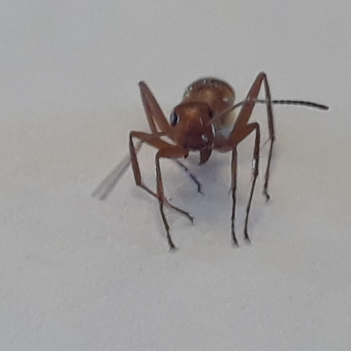 20180516 171700 20180516 171700