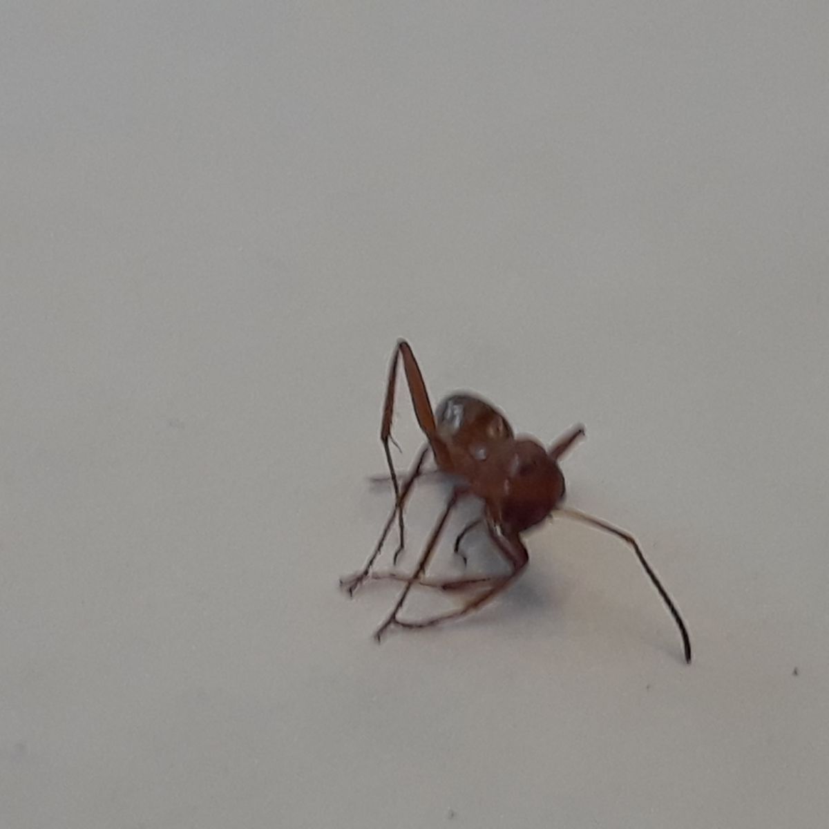 20180516 171313 20180516 171313
