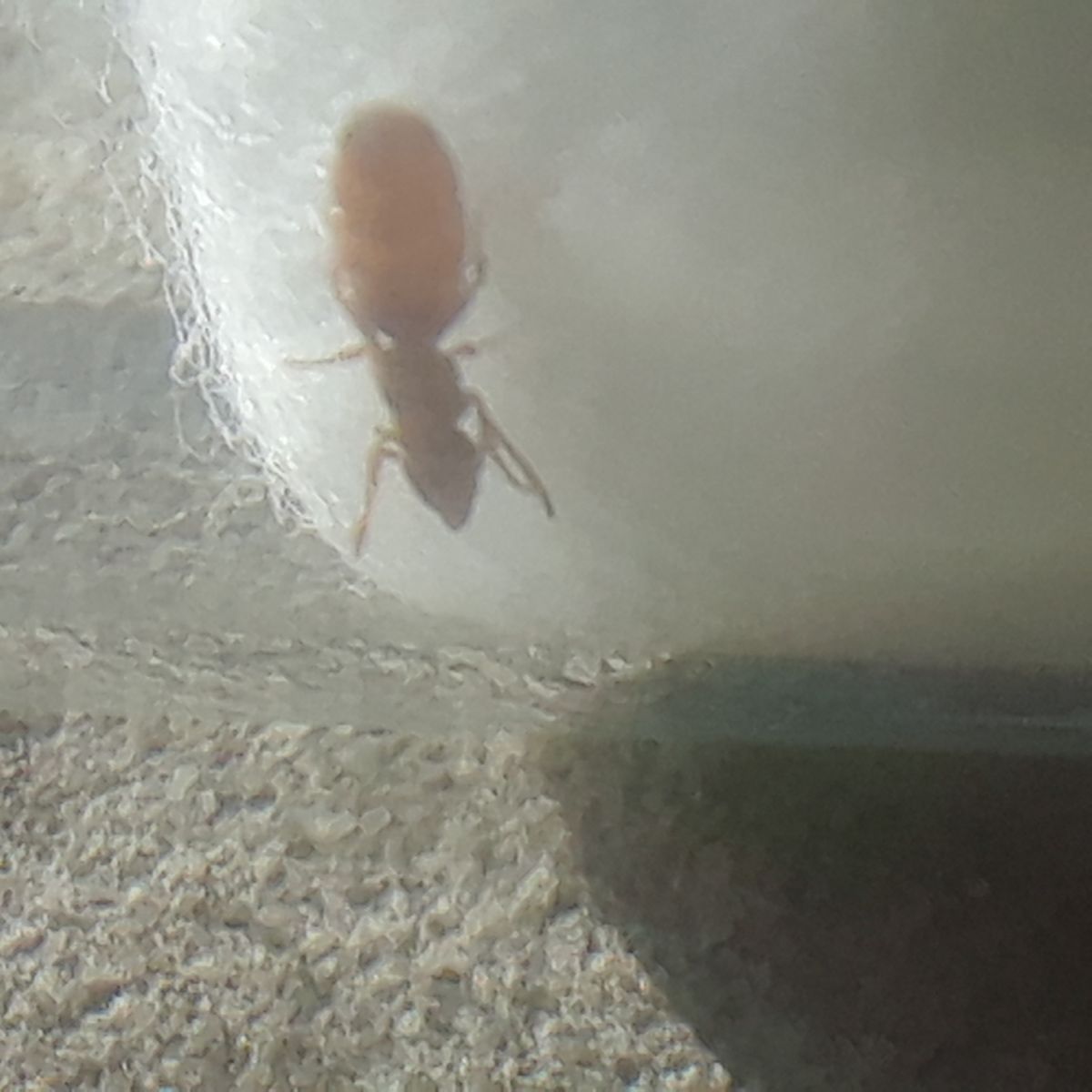 20180708 180636 20180708 180636