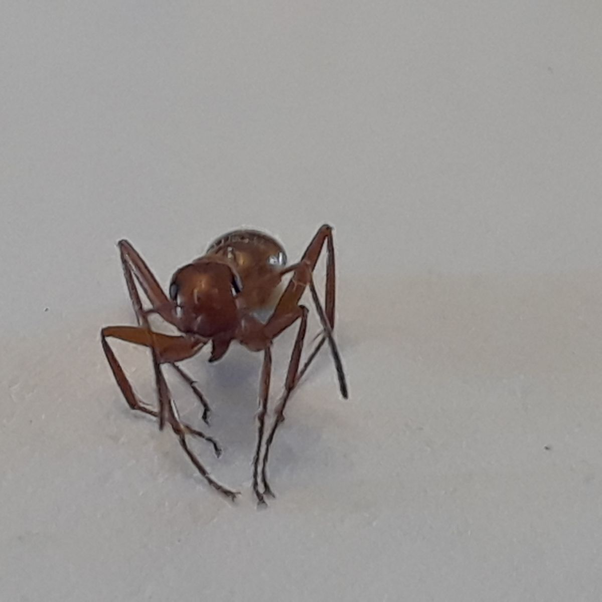 20180516 171537 20180516 171537