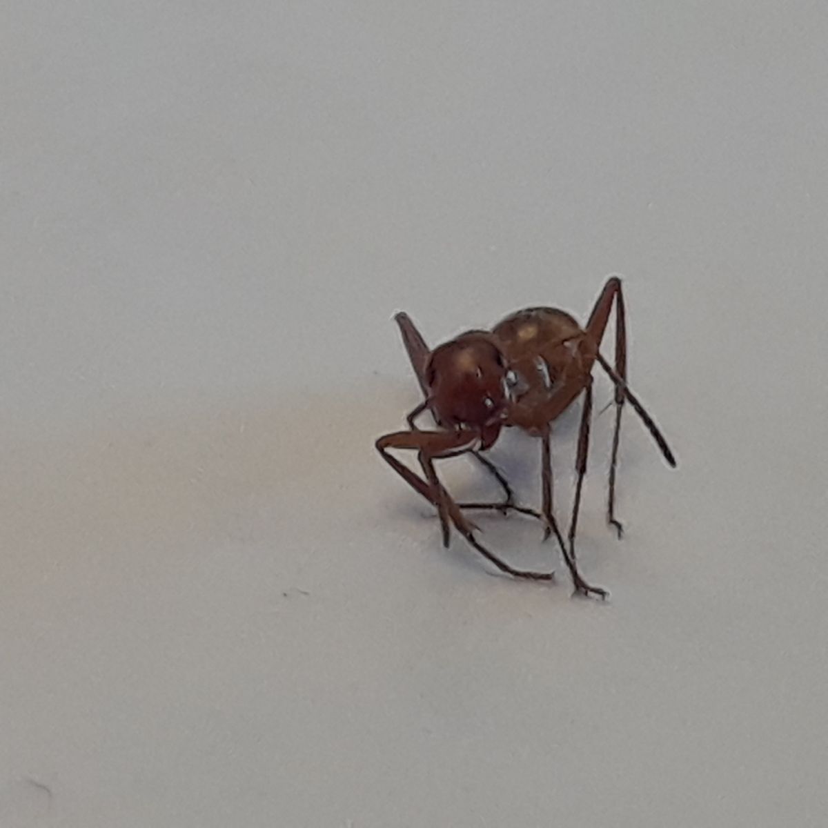 20180516 171450 20180516 171450