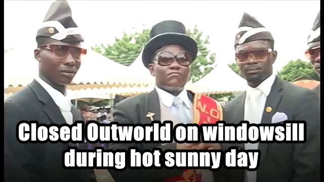 windowsill Hot sunny Day