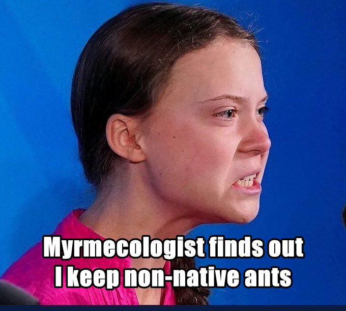 myrmecologist finds Out