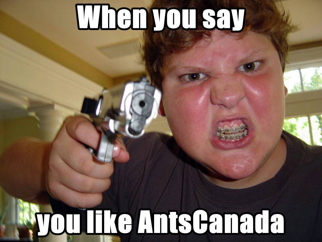 like antscanada