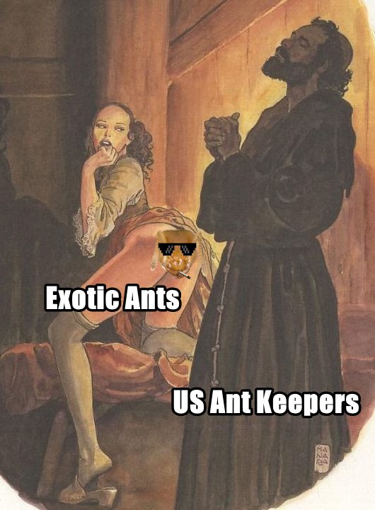 Us Ant keepers exotic ants