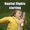 running girl nuptial flight text