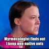 myrmecologist finds Out