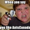 like antscanada