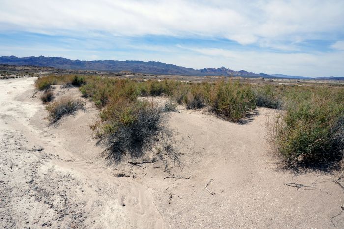 Tecopa California 02