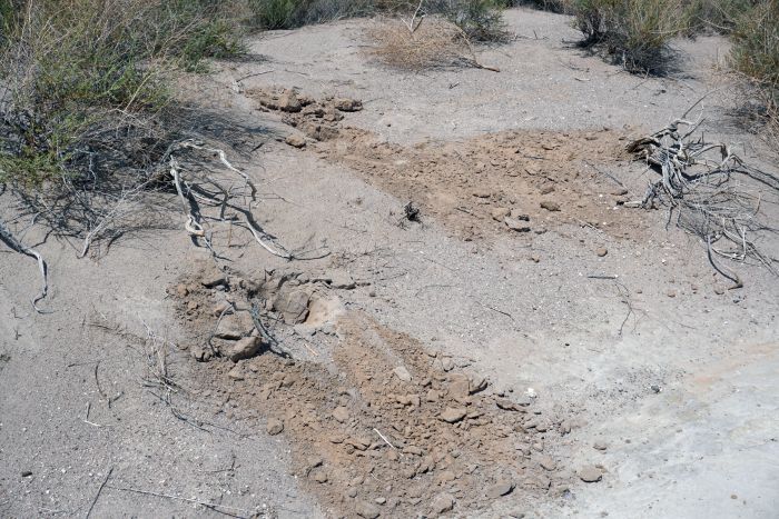 Tecopa California 03