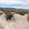 Tecopa California 02