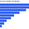 Top Ant genera species