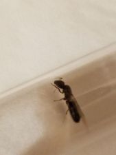 20180529 215532 20180529 215532