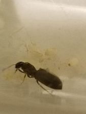 20180629 225703 20180629 225703