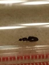 20180604 005841 20180604 005841