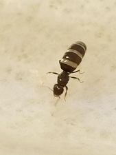 20180610 151447 20180610 151447