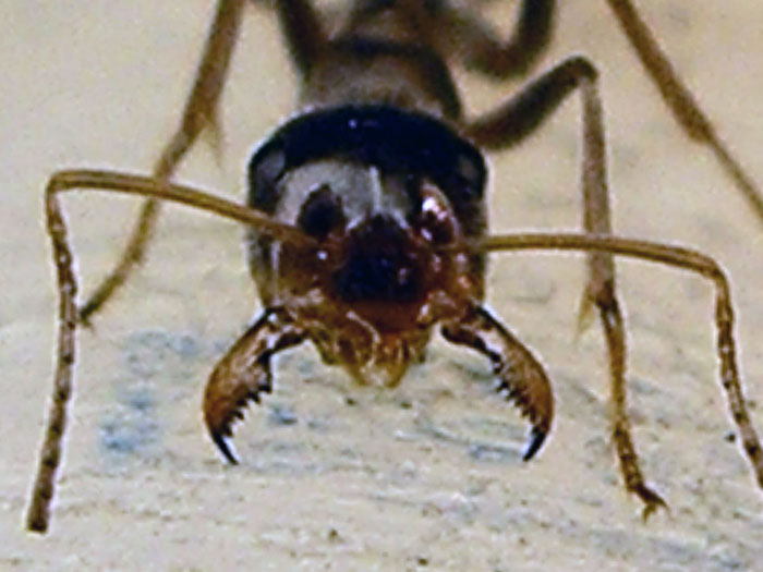 IMGP0319