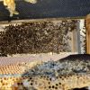 IMG 5014