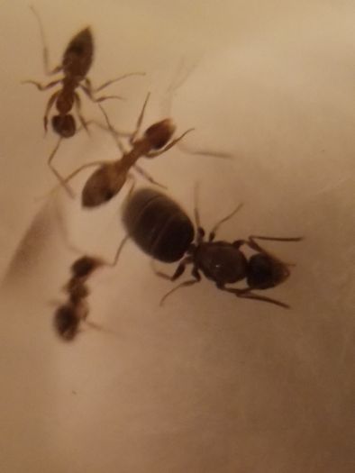 More workers