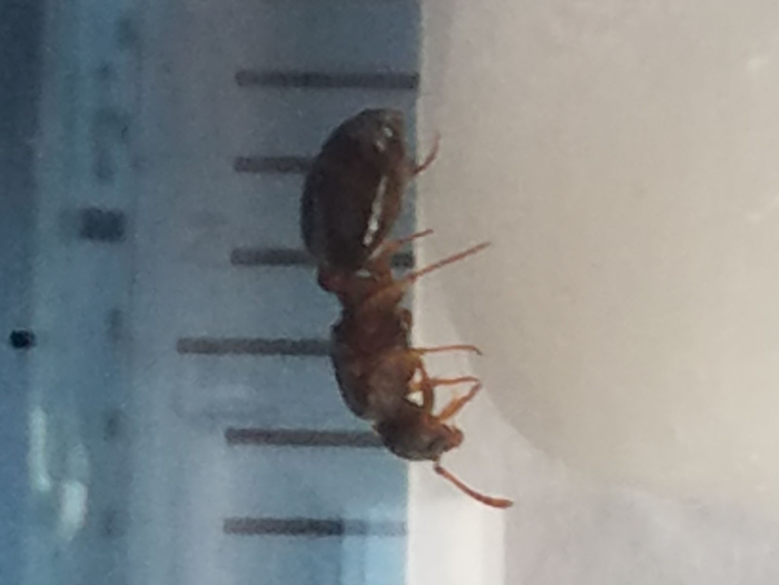 20180717 210655 20180717 210655