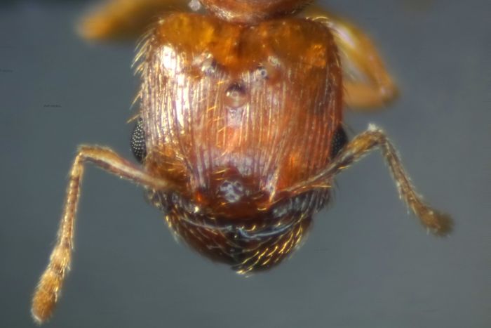 female 03 female 03