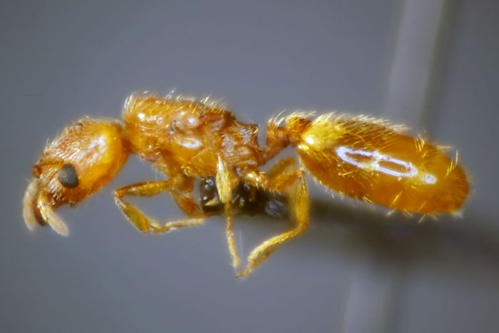 female 01 female 01