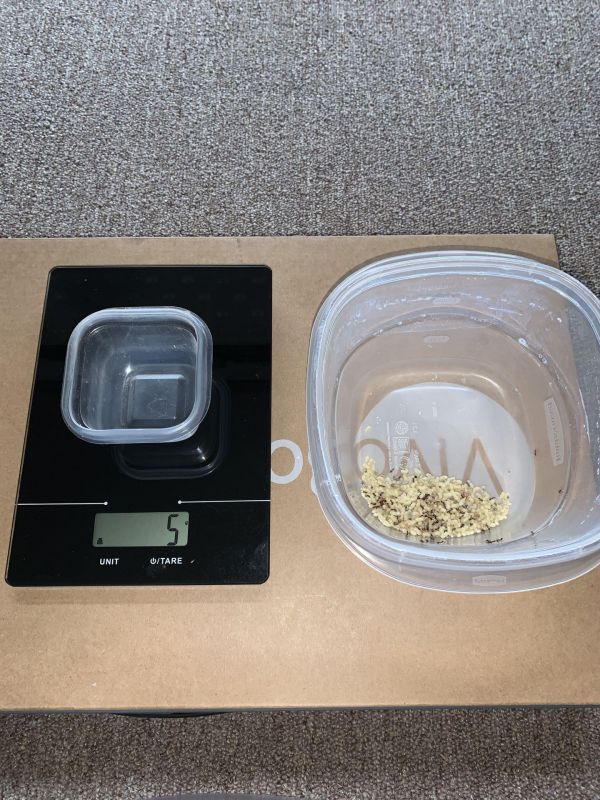 Weigh cup and food-brood with reduction of ants