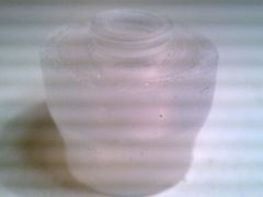 IMAG2785