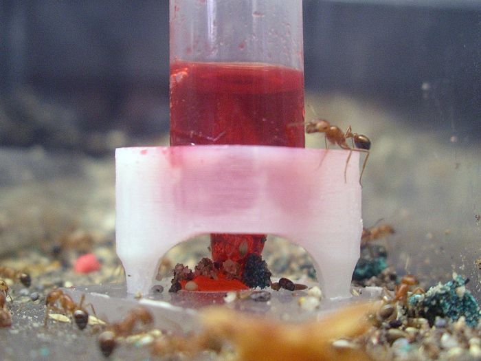 Liquid feeder problem 4 Liquid feeder problem 4