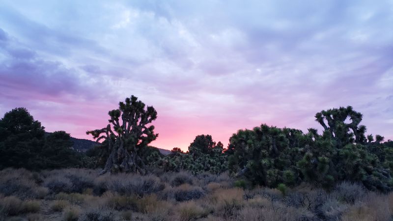 Lucerne Valley, California 7 24 2021