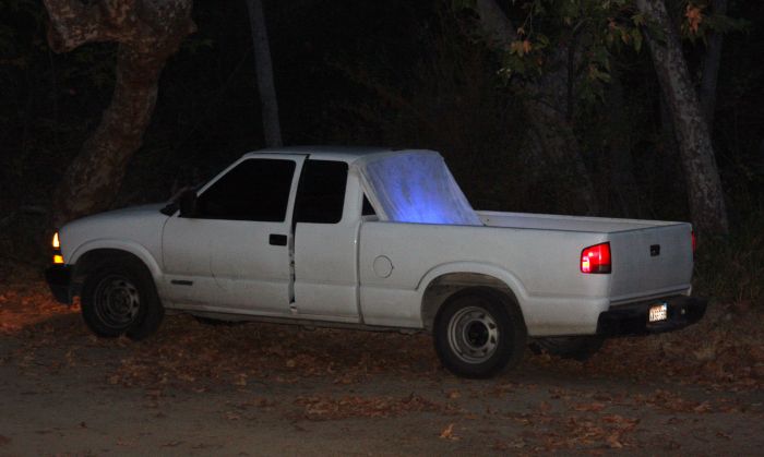 Black light truck