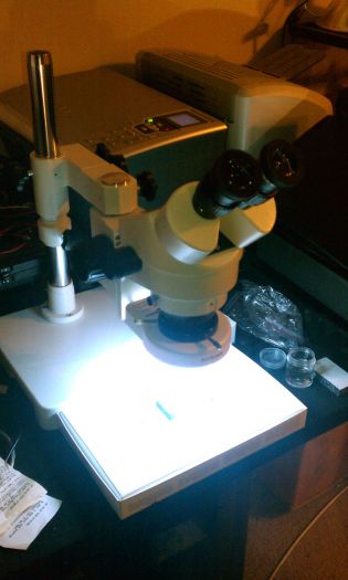 Stereo Microscope 2