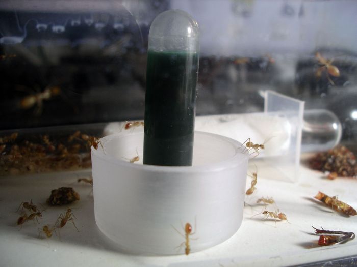 Liquid feeder problem solved 2a Liquid feeder problem solved 2a