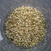 Grass seed