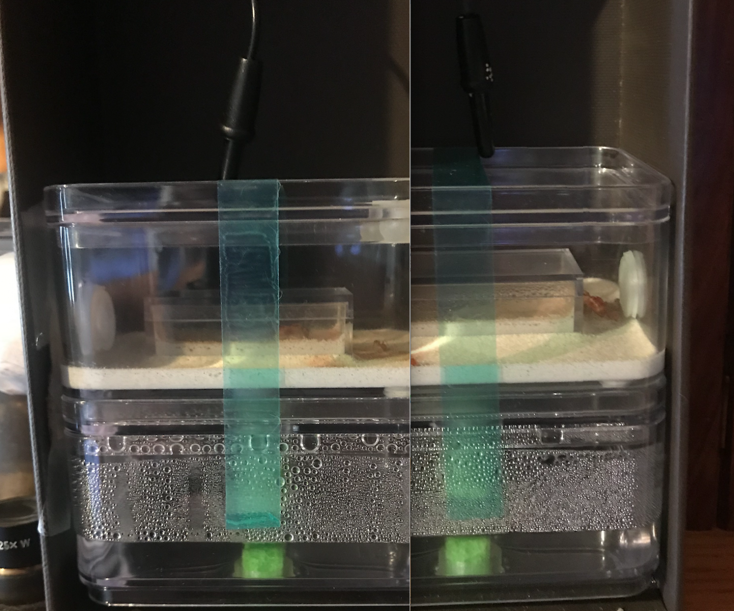 water level 8/28 vs 9/18