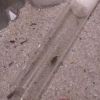 IMG 20181101 225130021
